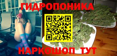 гидропоника Будённовск