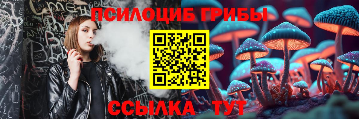 Псилоцибиновые грибы Psilocybine cubensis Чебоксары
